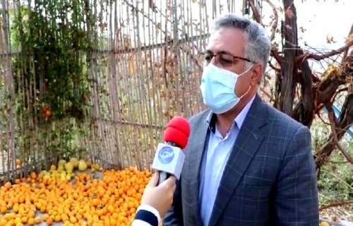 داروخانه هلال احمر در جیرفت راه اندازی می شود